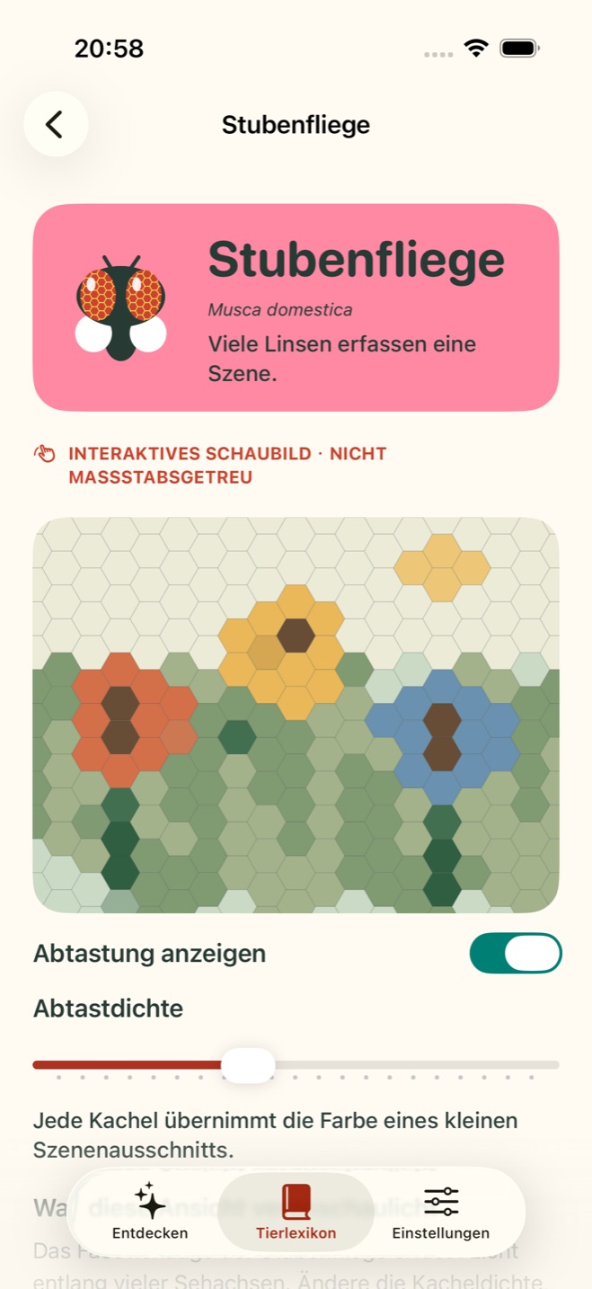 Interaktive TaSee-Studie zum Auge der Stubenfliege