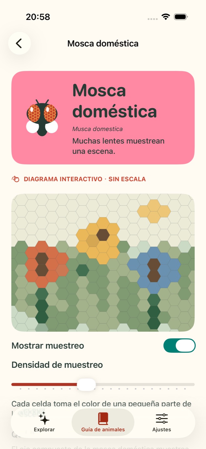 Estudio interactivo de TaSee del ojo de la mosca