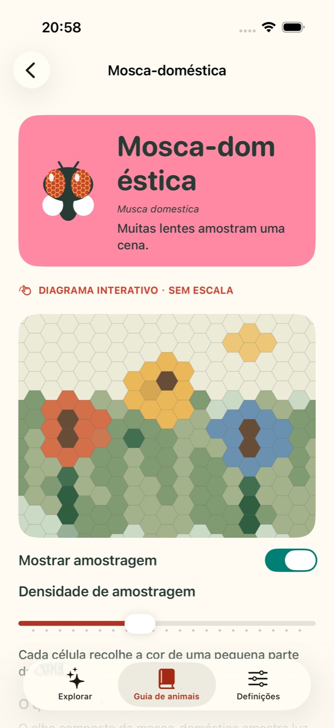 Estudo interativo do olho da mosca no TaSee